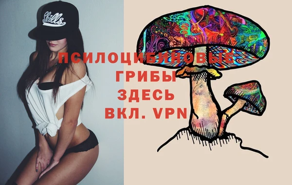 mdpv Арсеньев