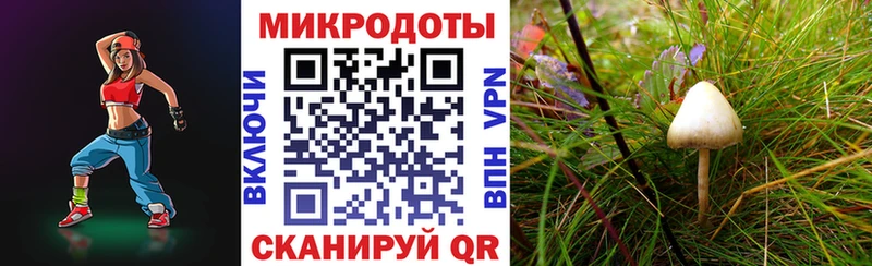 Псилоцибиновые грибы Psilocybe  Ковылкино 